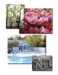 Pool and rear