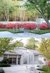 Back courtyard