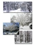 Snowy day